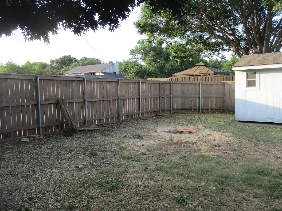 Cleared yard after professional tree removal in Hansford
