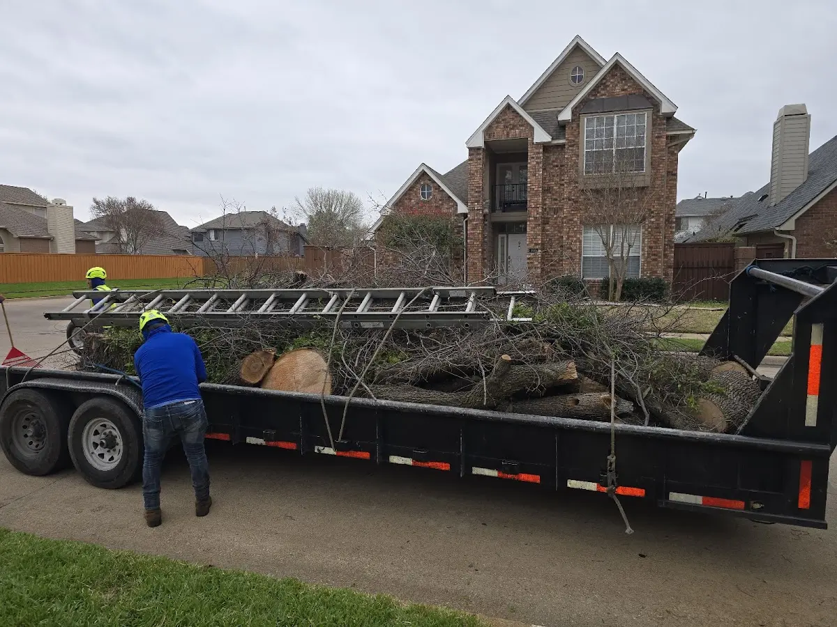 Expert Lot Clearing with proper safety equipment in Hansford